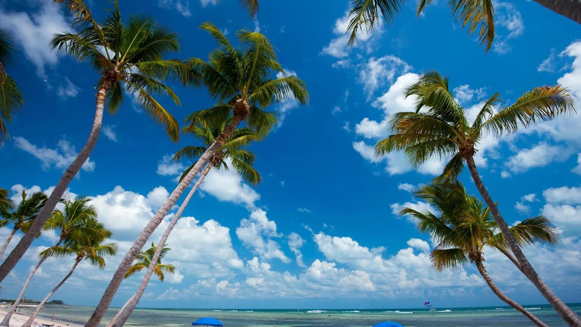 Tom'S Oceanfront Penthouse Villa Key West 0*,  United States